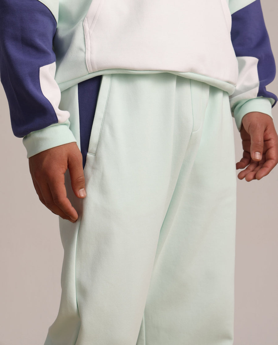 Rare Rabbit Men's Armon-2 Pastel Green Cotton Printed Regular Fit Track Pant