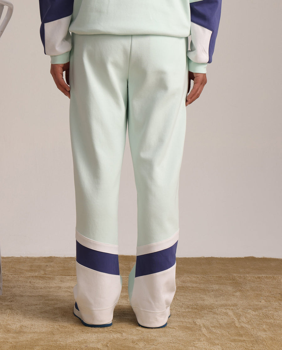 Rare Rabbit Men's Armon-2 Pastel Green Cotton Printed Regular Fit Track Pant