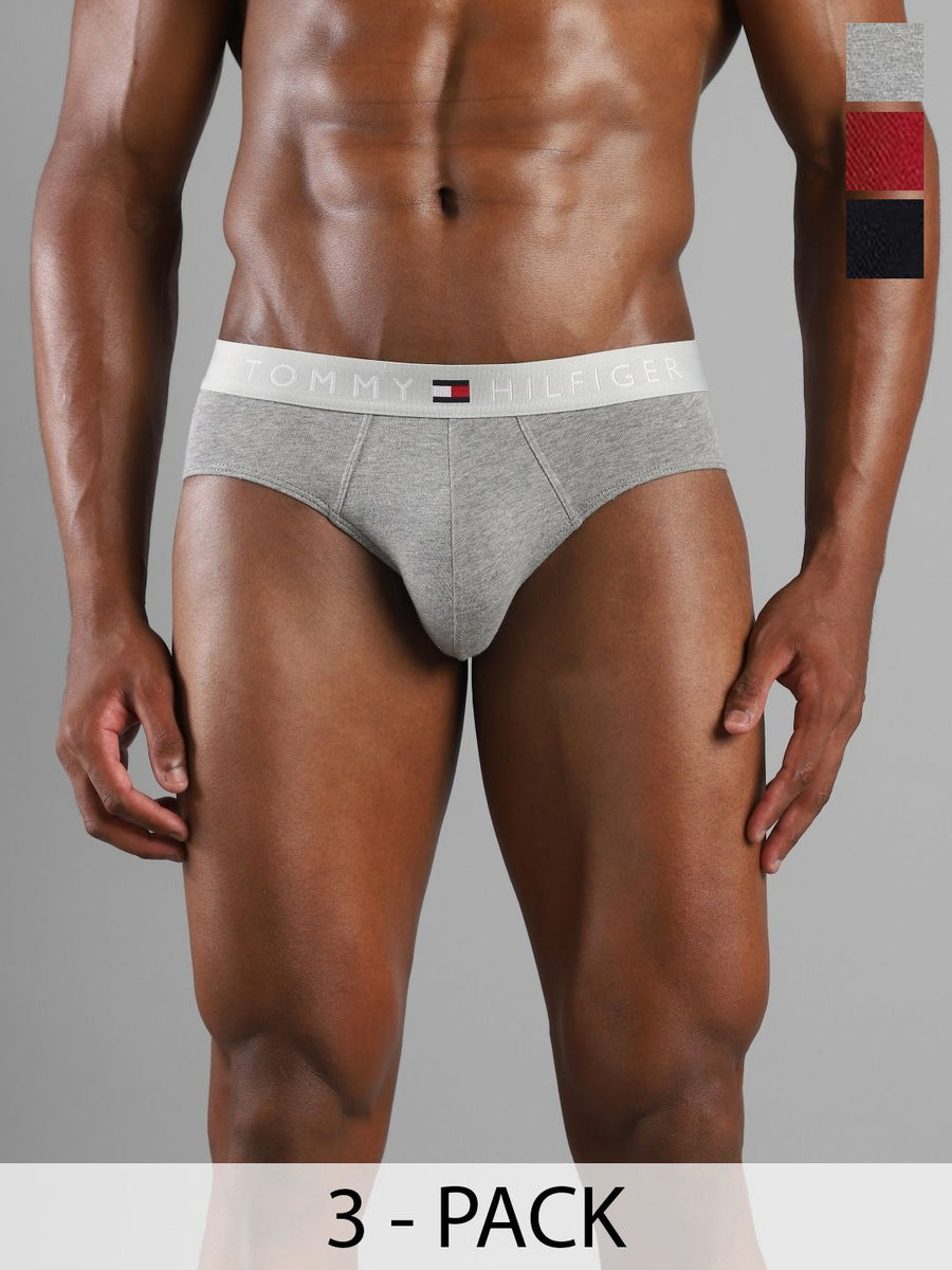 Tommy Hilfiger Pack Of 3 Basic Briefs S25HMUW076