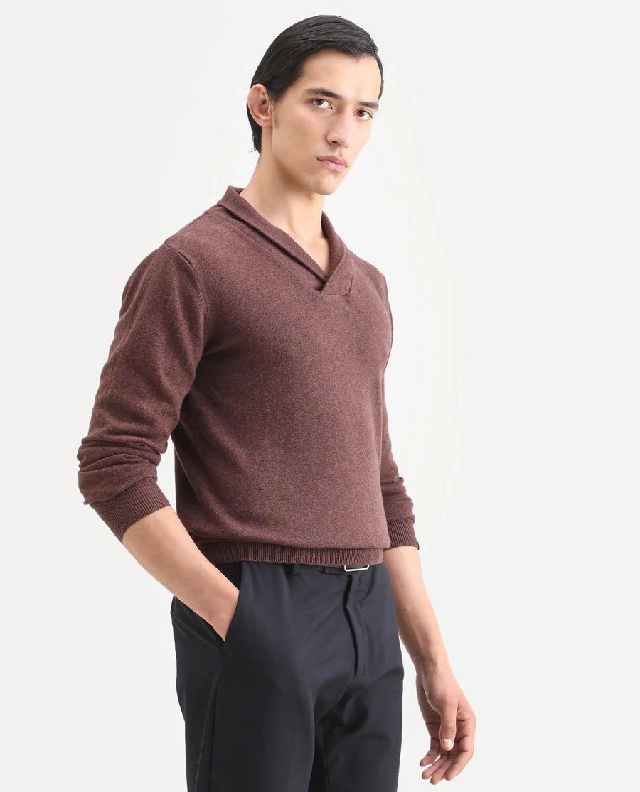 Rare Rabbit Men's Denvy Brown Cotton Plain Regular Fit Full Sleeve Shawl Neck Sweater