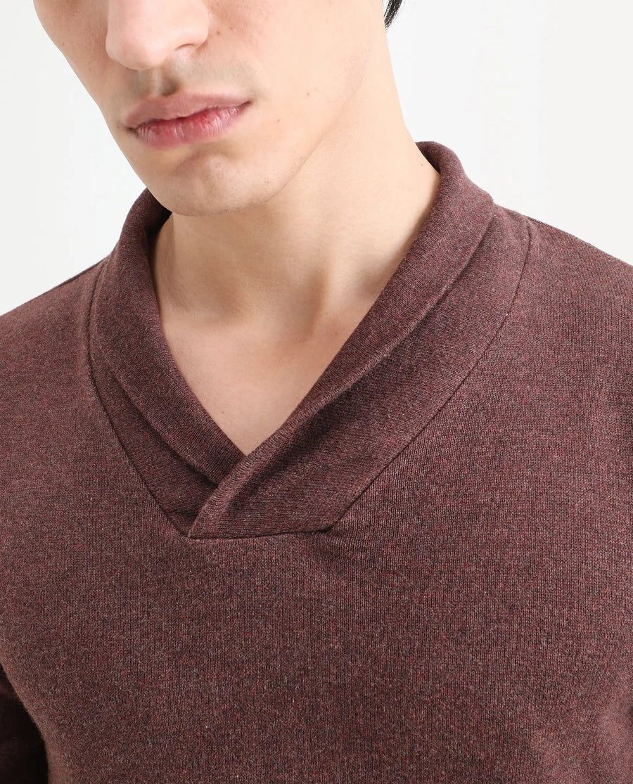 Rare Rabbit Men's Denvy Brown Cotton Plain Regular Fit Full Sleeve Shawl Neck Sweater