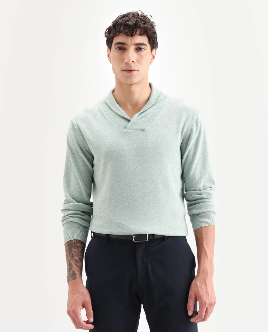 Rare Rabbit Men's Denvy Green Cotton Plain Regular Fit Full Sleeve Shawl Neck Sweater