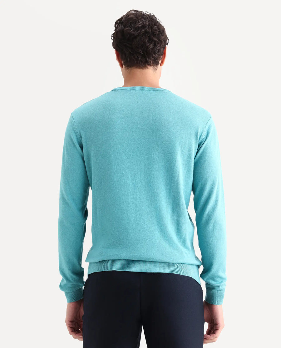 Rare Rabbit Men's Alba Blue Cotton Jacquard Regular Fit Full Sleeve Crew Neck Sweater