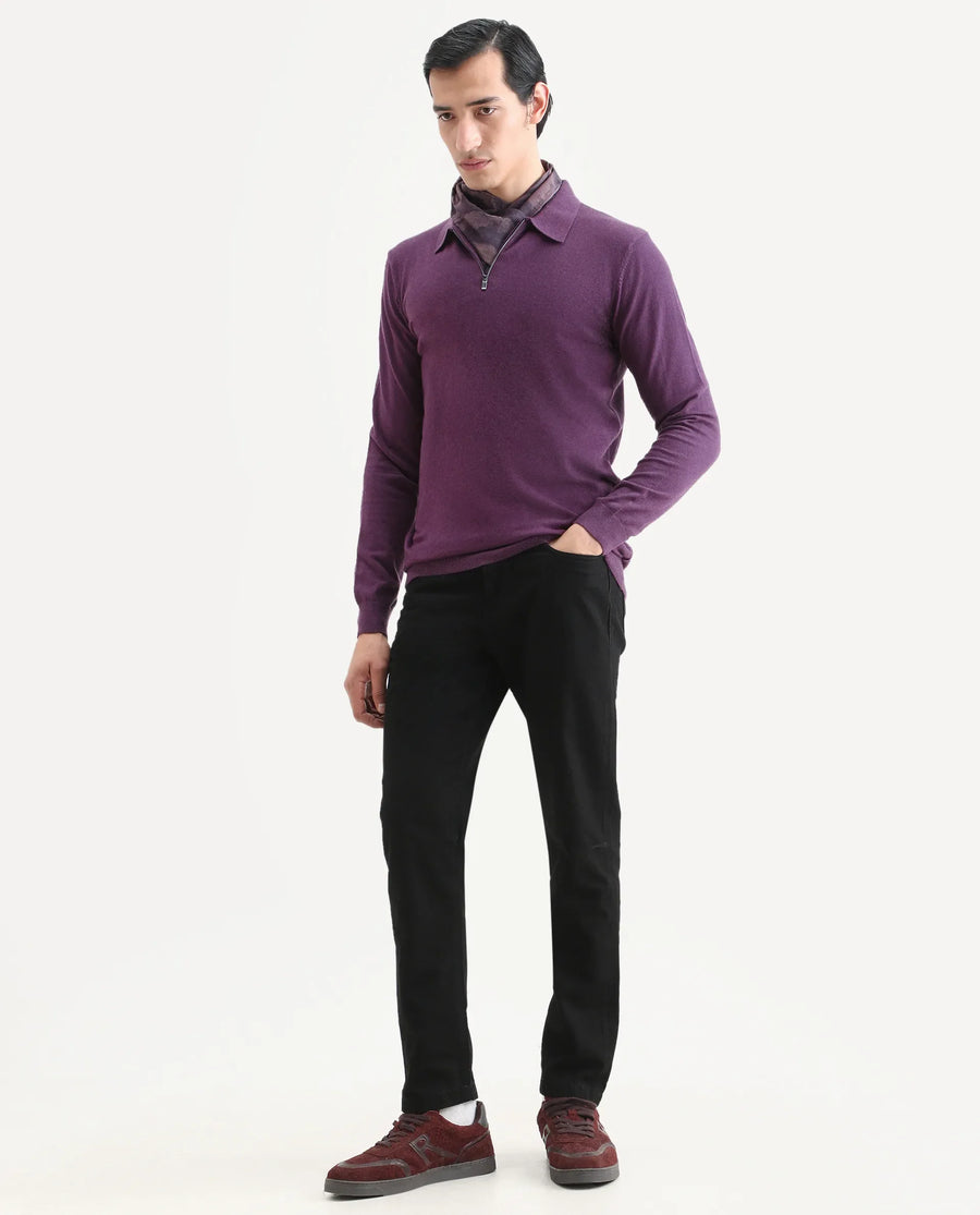 Rare Rabbit Men's Griffin Purple Viscose Plain Regular Fit Full Sleeve Spread Collar Sweater