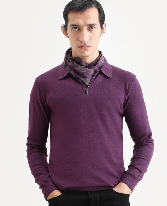 Rare Rabbit Men's Griffin Purple Viscose Plain Regular Fit Full Sleeve Spread Collar Sweater