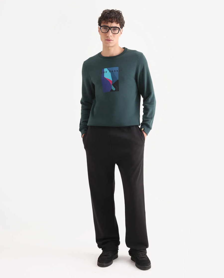 Rare Rabbit Men's Winfred Green Cotton Graphic Print Regular Fit Full Sleeve Crew Neck Sweatshirt