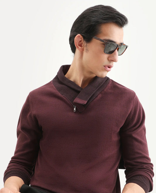 Rare Rabbit Men's Denver Brown Cotton Plain Regular Fit Full Sleeve Shawl Neck Sweater