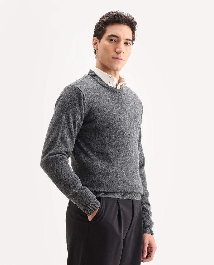 Rare Rabbit Men's Saturno Dusky Grey Acrylic Embroidered Regular Fit Full Sleeve Crew Neck Sweater