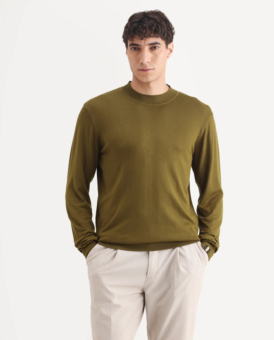 Rare Rabbit Men's Alfot Olive Viscose Plain Regular Fit Full Sleeve High Neck Sweater