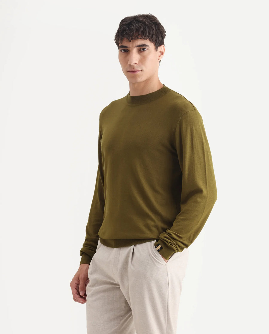 Rare Rabbit Men's Alfot Olive Viscose Plain Regular Fit Full Sleeve High Neck Sweater