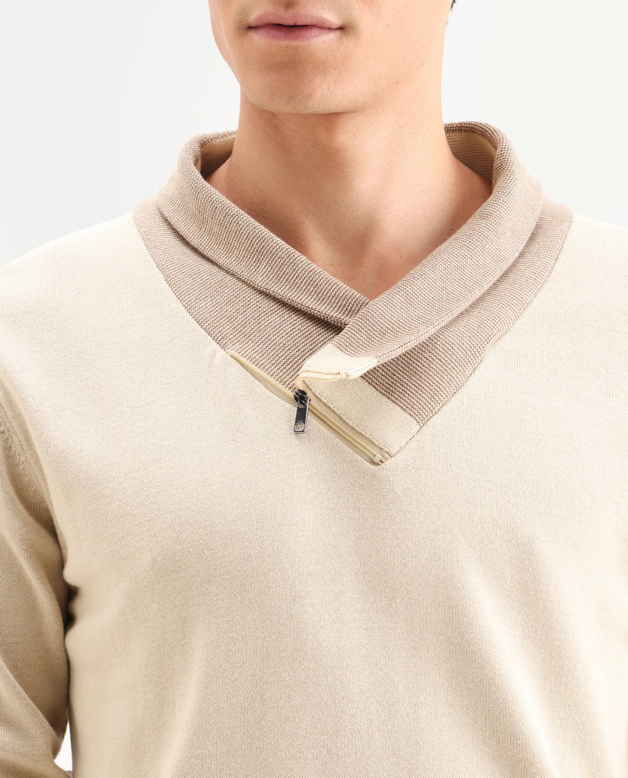 Rare Rabbit Men's Lyzo Beige Cotton Plain Regular Fit Full Sleeve Cowl Neck Sweater