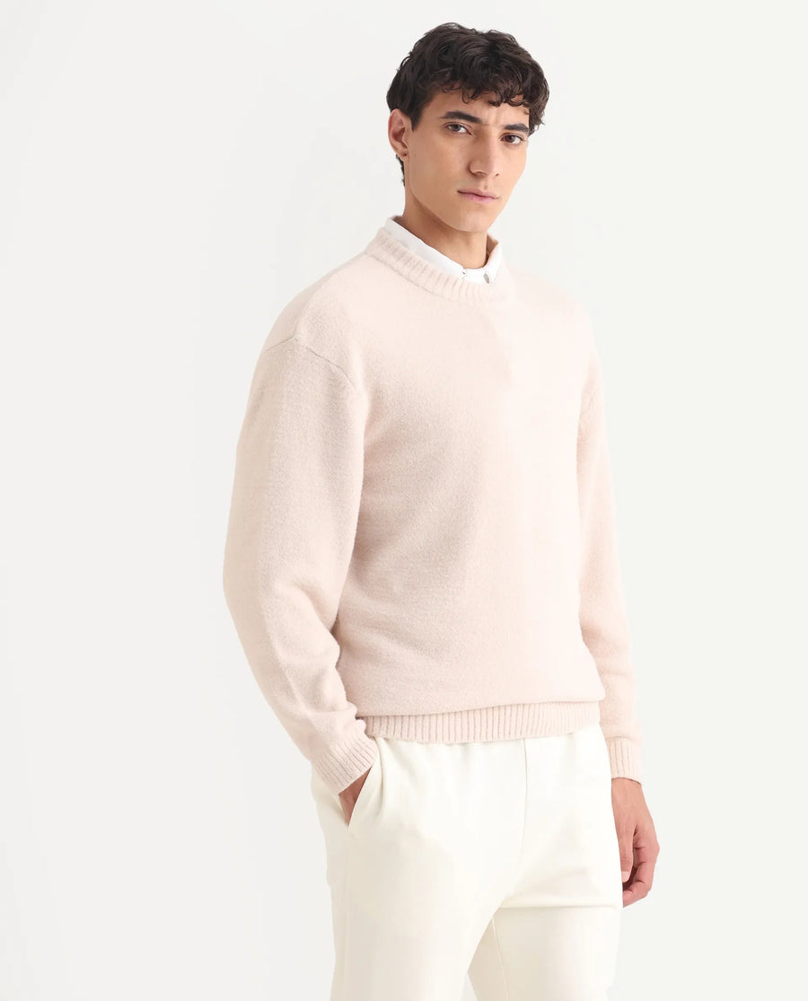 Rare Rabbit Men's Zeo-1 Beige Nylon Plain Regular Fit Full Sleeve Crew Neck Sweater