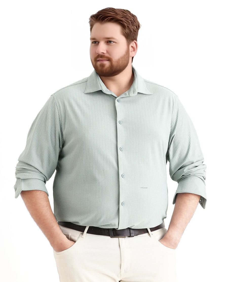 Rare Rabbit Men's Exclop Pastel Green Cotton Fabric Full Sleeves Collared Neck Button Closure Striped Shirt