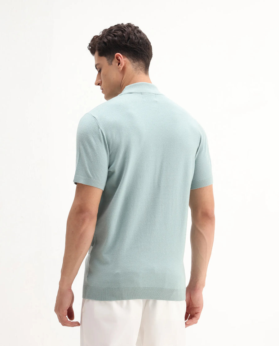 Rare Rabbit Men's Alfet-25 Dusky Green Viscose Plain Regular Fit Half Sleeve High Neck T-Shirt