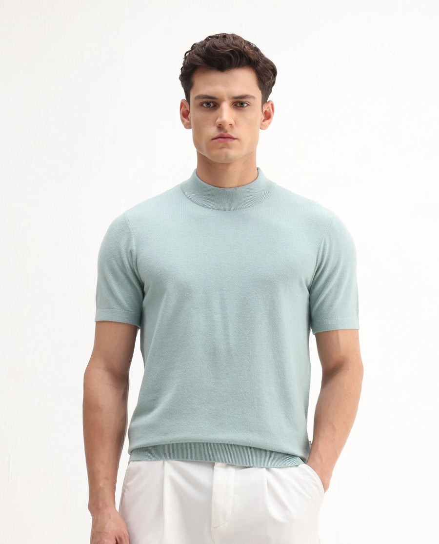 Rare Rabbit Men's Alfet-25 Dusky Green Viscose Plain Regular Fit Half Sleeve High Neck T-Shirt