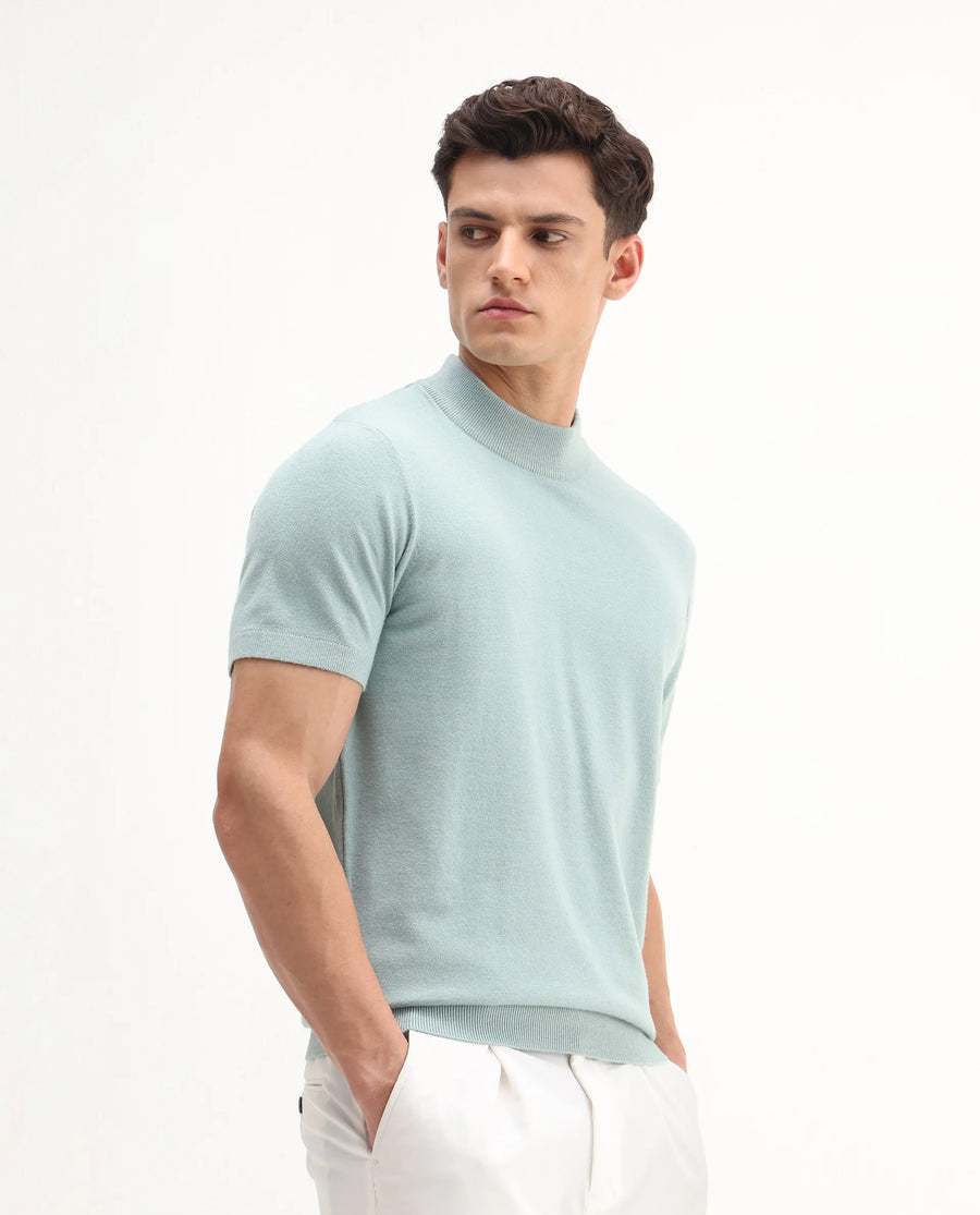 Rare Rabbit Men's Alfet-25 Dusky Green Viscose Plain Regular Fit Half Sleeve High Neck T-Shirt