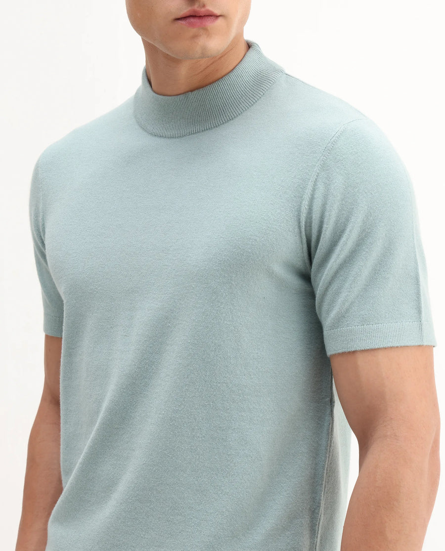 Rare Rabbit Men's Alfet-25 Dusky Green Viscose Plain Regular Fit Half Sleeve High Neck T-Shirt