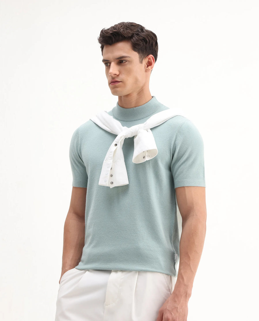 Rare Rabbit Men's Alfet-25 Dusky Green Viscose Plain Regular Fit Half Sleeve High Neck T-Shirt