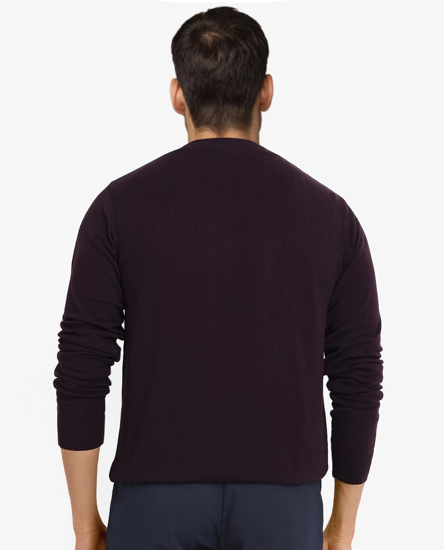 Rare Rabbit Men's Alfot Dark Purple Viscose Plain Regular Fit Full Sleeve High Neck Sweater