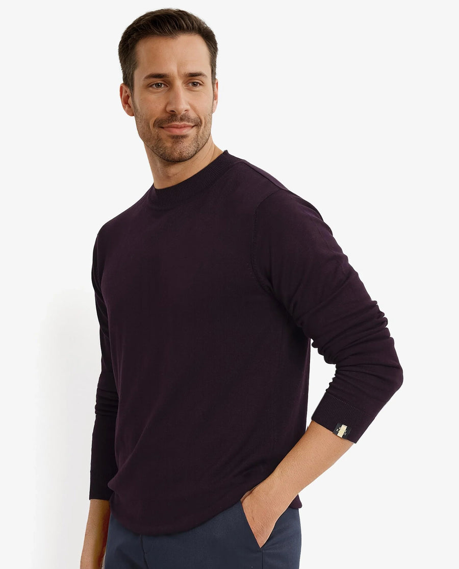 Rare Rabbit Men's Alfot Dark Purple Viscose Plain Regular Fit Full Sleeve High Neck Sweater