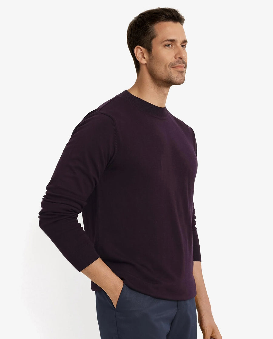Rare Rabbit Men's Alfot Dark Purple Viscose Plain Regular Fit Full Sleeve High Neck Sweater