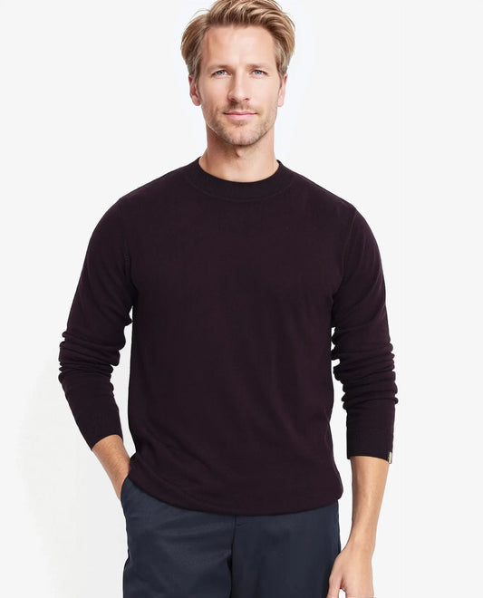Rare Rabbit Men's Alfot Dark Purple Viscose Plain Regular Fit Full Sleeve High Neck Sweater