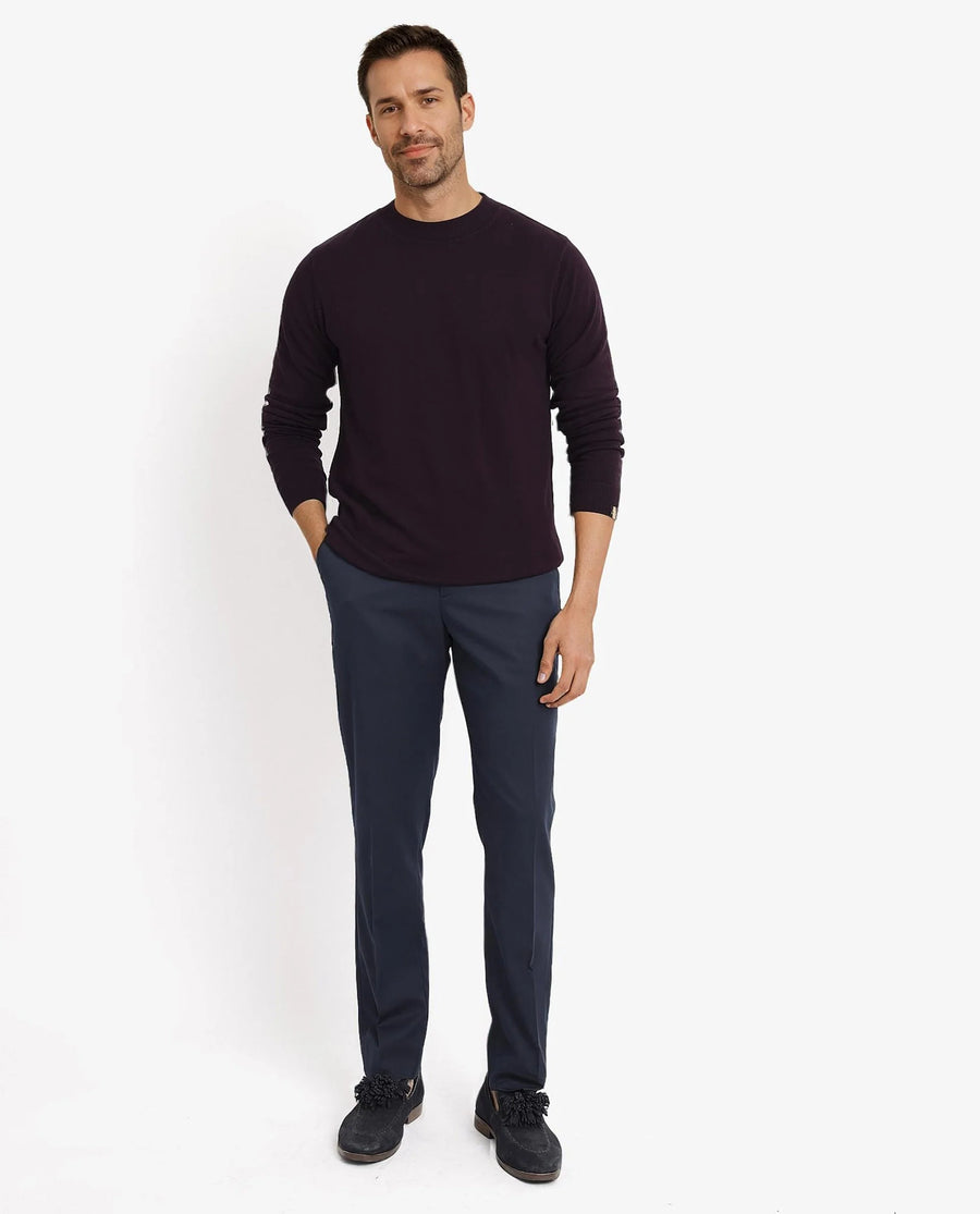 Rare Rabbit Men's Alfot Dark Purple Viscose Plain Regular Fit Full Sleeve High Neck Sweater