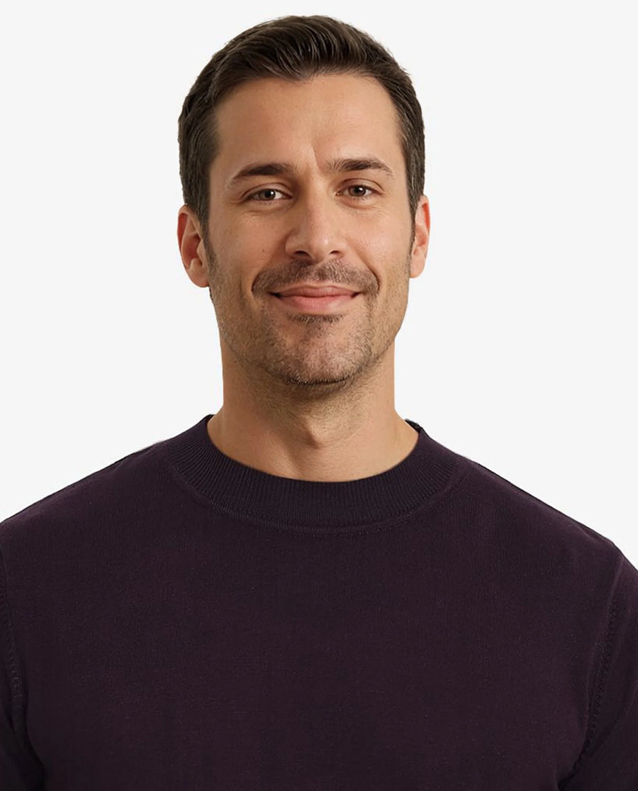 Rare Rabbit Men's Alfot Dark Purple Viscose Plain Regular Fit Full Sleeve High Neck Sweater