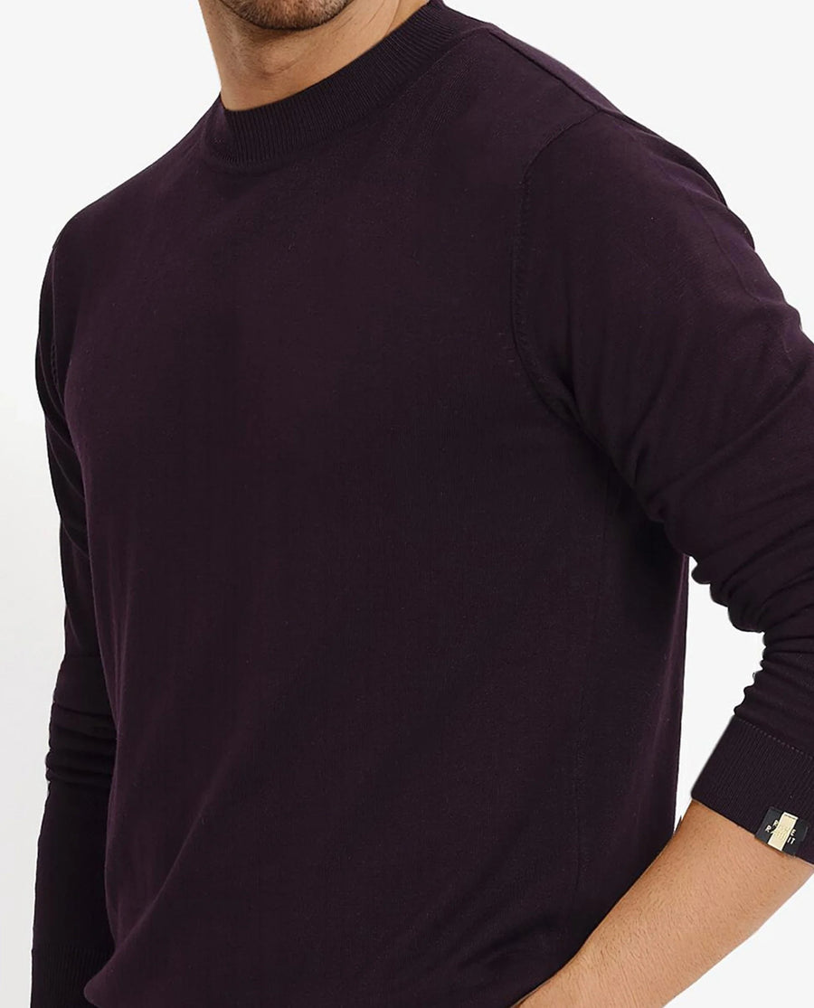 Rare Rabbit Men's Alfot Dark Purple Viscose Plain Regular Fit Full Sleeve High Neck Sweater