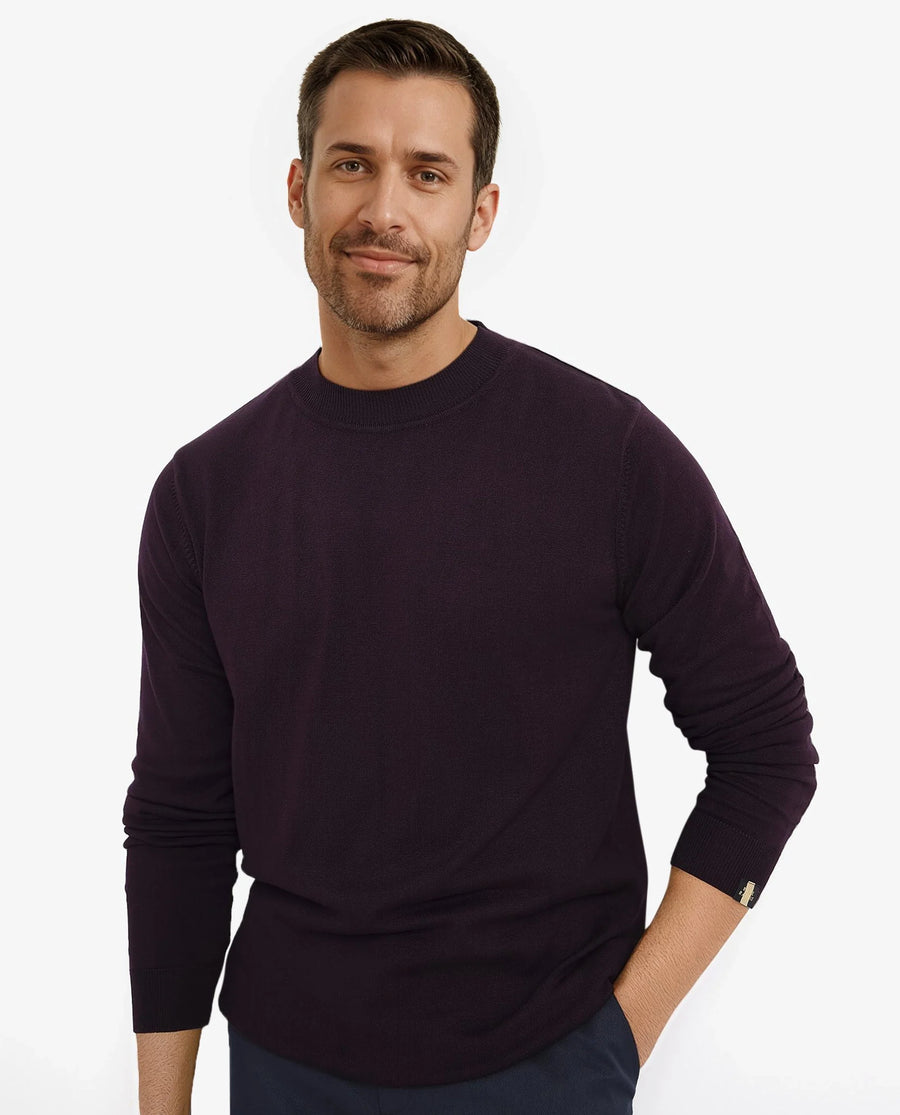Rare Rabbit Men's Alfot Dark Purple Viscose Plain Regular Fit Full Sleeve High Neck Sweater