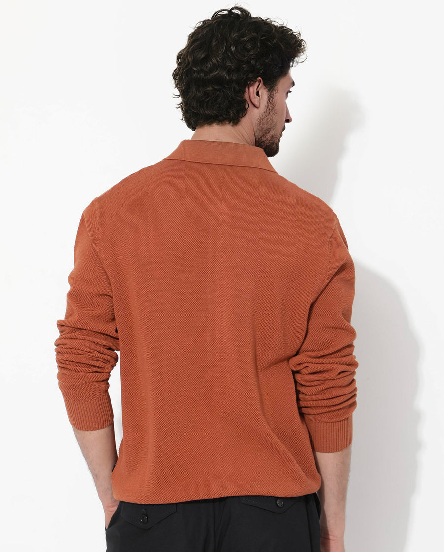 Rare Rabbit Men's Alias-N Dusky Rust Cotton Plain Regular Fit Full Sleeve Collared Shirt