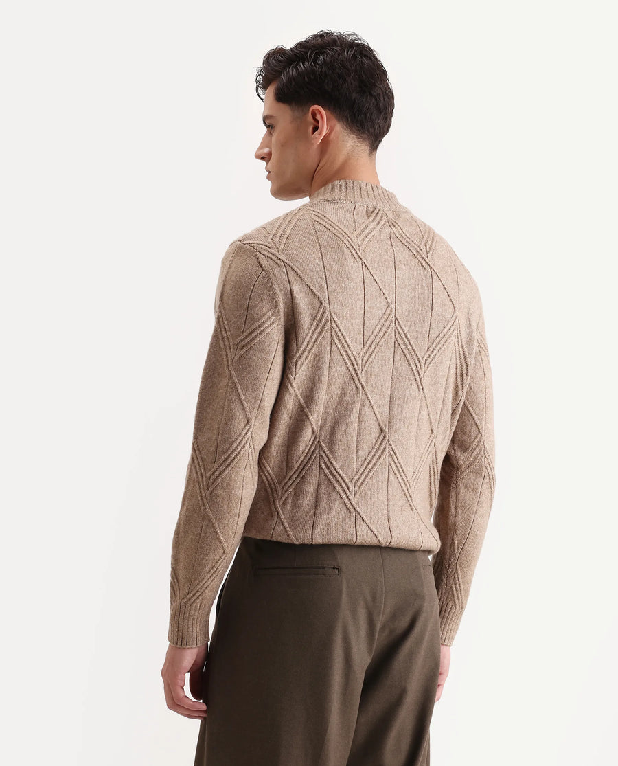 Rare Rabbit Men's Alli Dark Beige Polyester Plain Regular Fit Full Sleeve High Neck Sweater