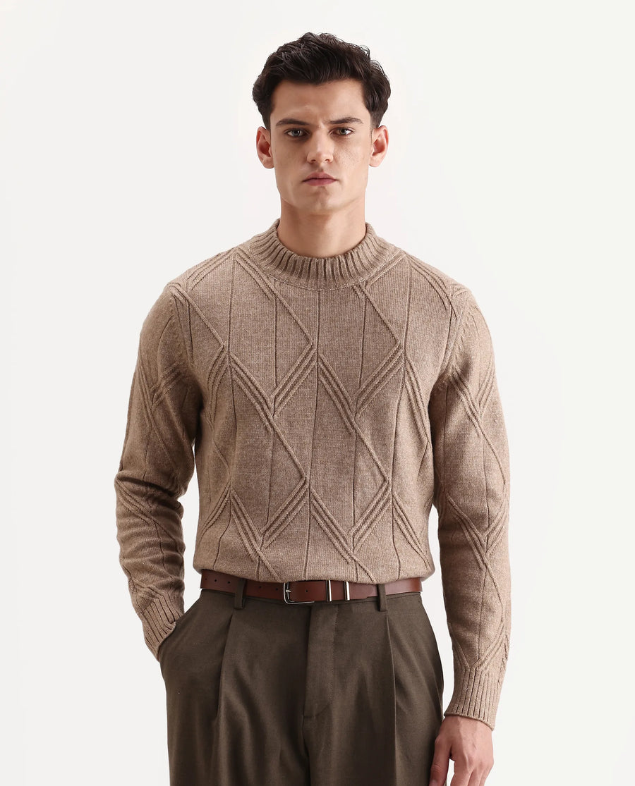Rare Rabbit Men's Alli Dark Beige Polyester Plain Regular Fit Full Sleeve High Neck Sweater