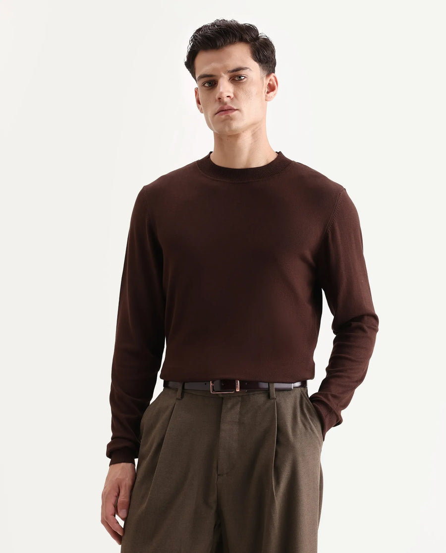 Rare Rabbit Men's Alva Dark Brown Viscose Plain Regular Fit Full Sleeve High Neck Sweater