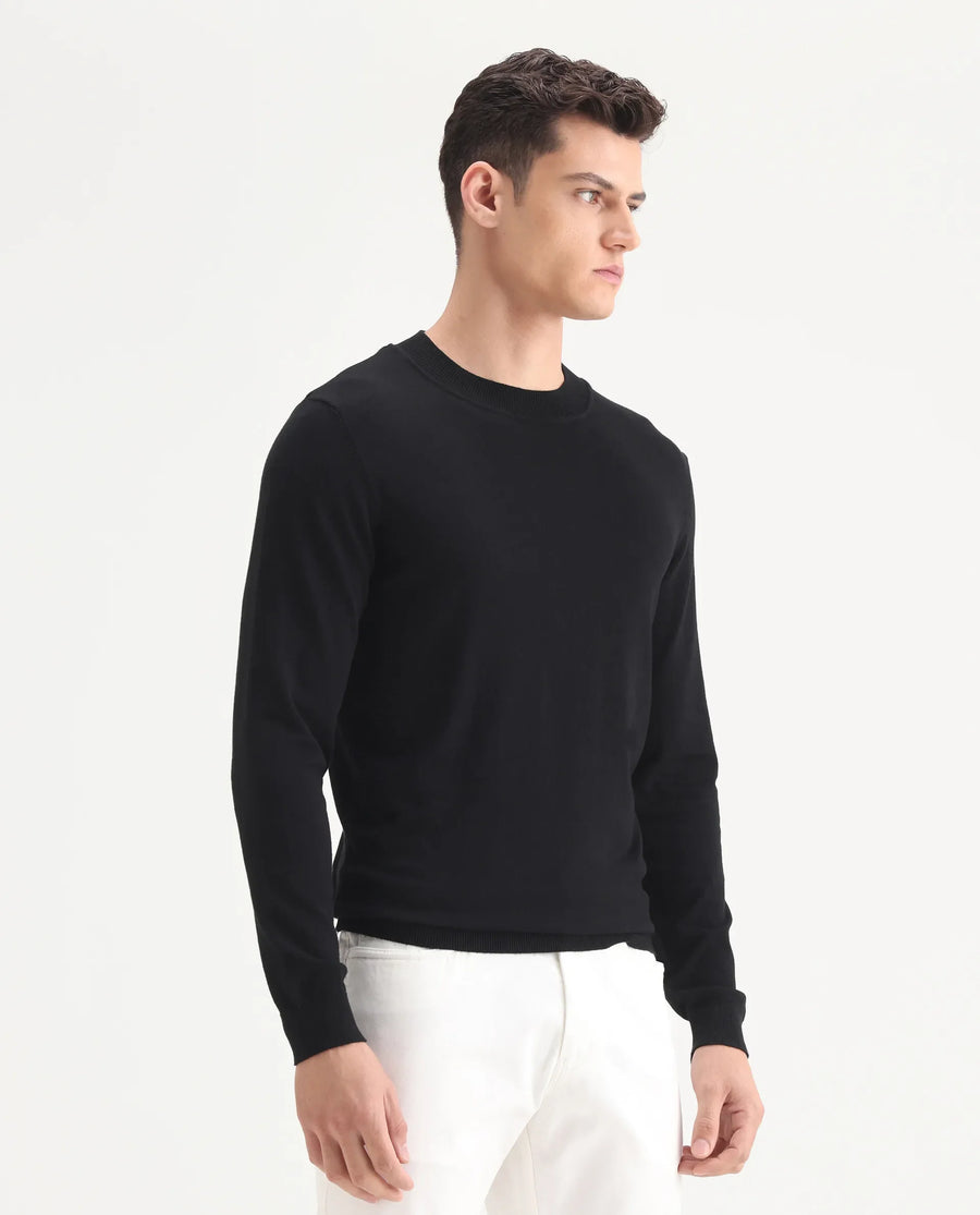 Rare Rabbit Men's Alva Black Viscose Plain Regular Fit Full Sleeve High Neck Sweater