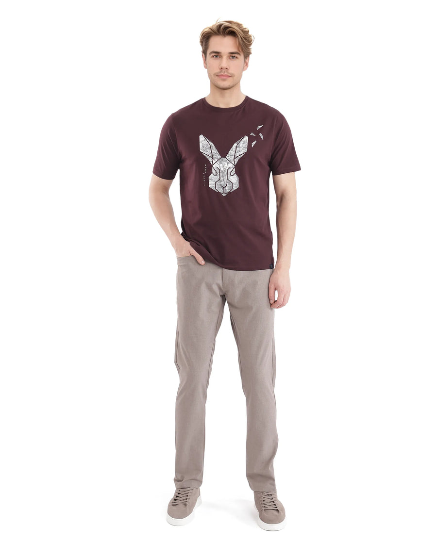 Rare Rabbit Men's Arbor-1 Maroon Cotton Graphic Print Regular Fit Half Sleeve Crew Neck T-Shirt