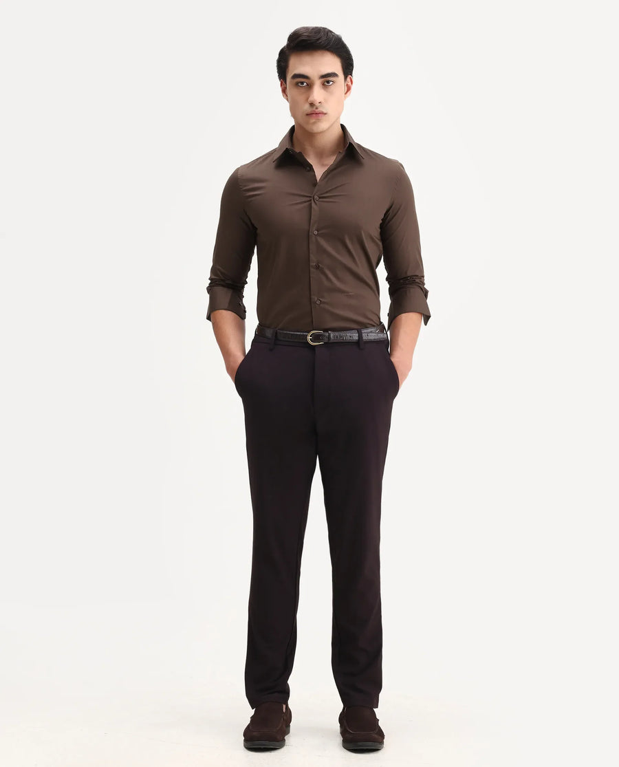 Rare Rabbit Men's Borium Ls-25 Brown 100% Linen Plain Regular Fit Full Sleeve Collared Shirt