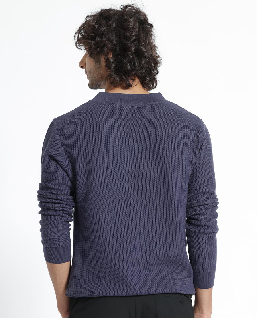 Rare Rabbit Men's Breeze Purple Cotton Plain Regular Fit Full Sleeve V-Neck Sweater
