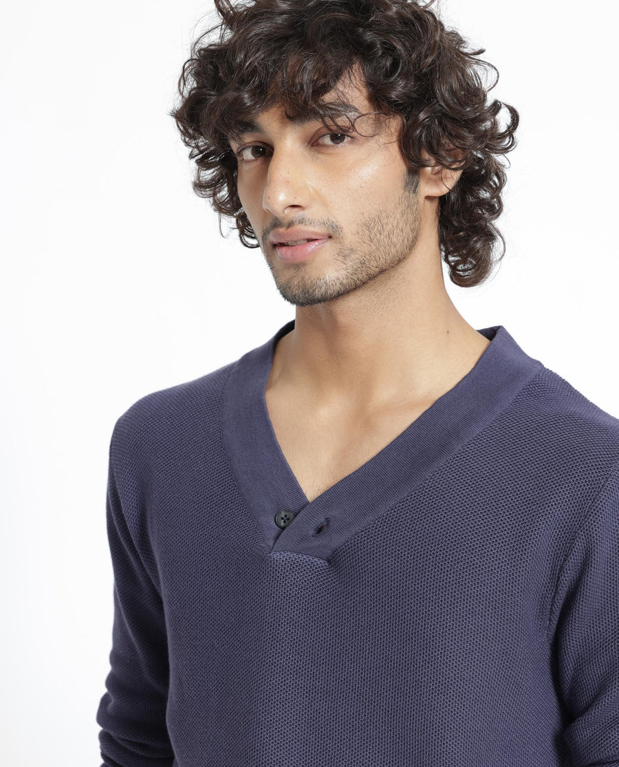 Rare Rabbit Men's Breeze Purple Cotton Plain Regular Fit Full Sleeve V-Neck Sweater