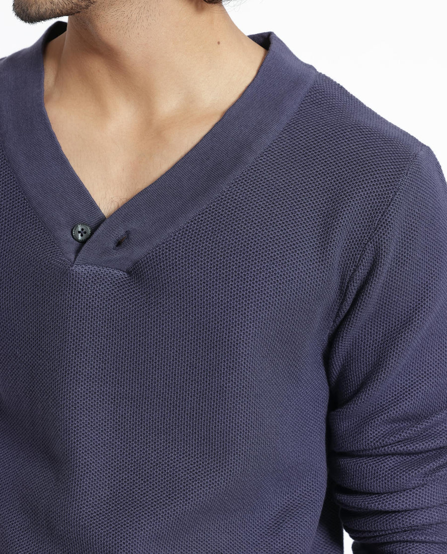 Rare Rabbit Men's Breeze Purple Cotton Plain Regular Fit Full Sleeve V-Neck Sweater