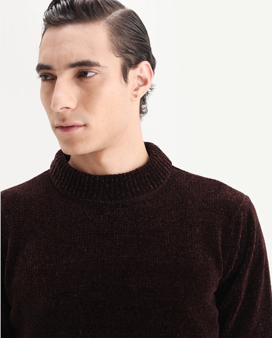 Rare Rabbit Men's Chens Dark Brown Polyester Fabric Full Sleeve Crew Neck Regular Plain Sweater
