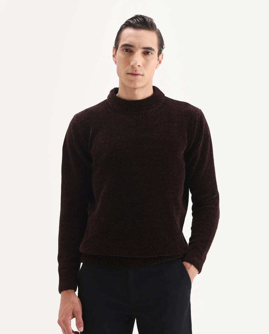 Rare Rabbit Men's Chens Dark Brown Polyester Fabric Full Sleeve Crew Neck Regular Plain Sweater