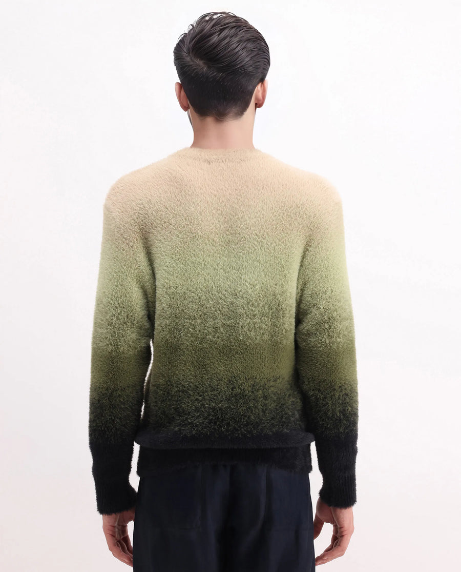 Rare Rabbit Men's Chervs Dark Green Cotton Color Block Regular Fit Full Sleeve Crew Neck Sweater