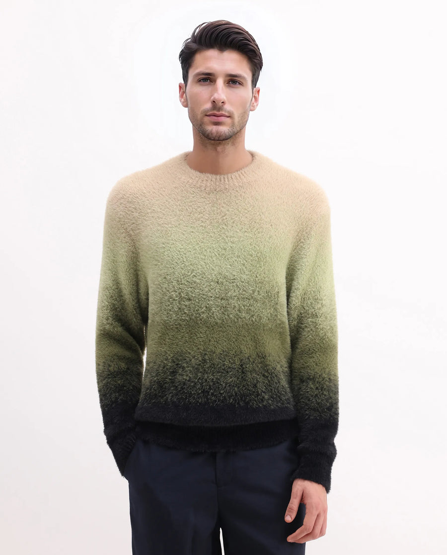 Rare Rabbit Men's Chervs Dark Green Cotton Color Block Regular Fit Full Sleeve Crew Neck Sweater