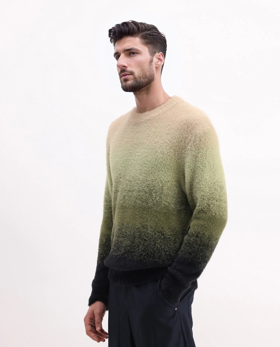 Rare Rabbit Men's Chervs Dark Green Cotton Color Block Regular Fit Full Sleeve Crew Neck Sweater