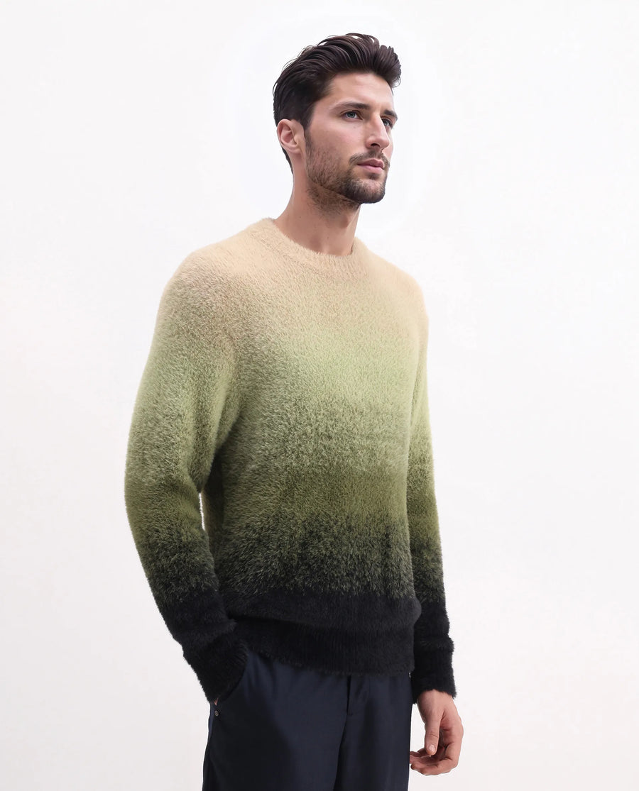 Rare Rabbit Men's Chervs Dark Green Cotton Color Block Regular Fit Full Sleeve Crew Neck Sweater