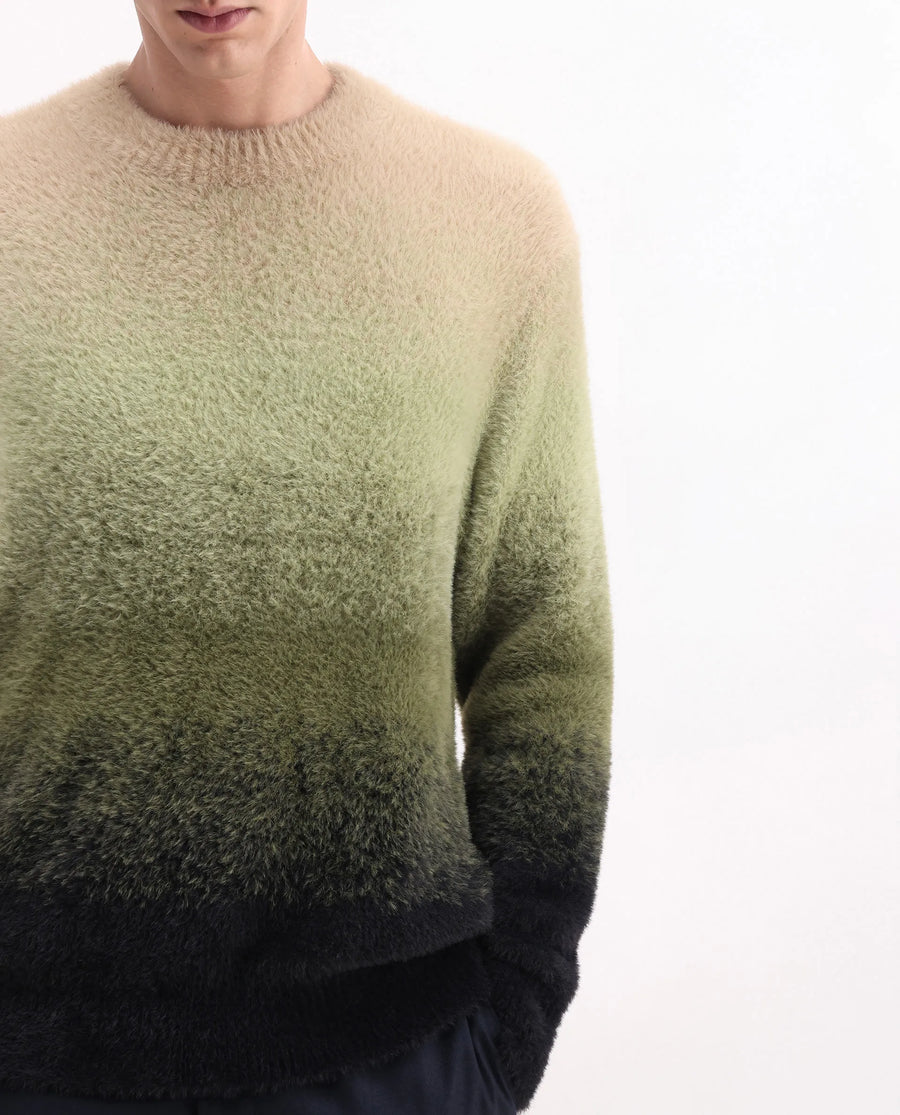 Rare Rabbit Men's Chervs Dark Green Cotton Color Block Regular Fit Full Sleeve Crew Neck Sweater