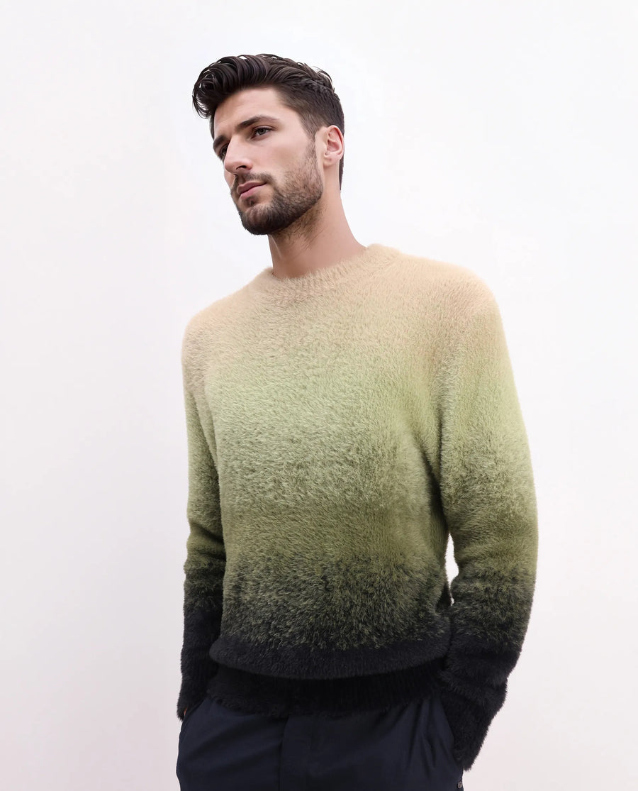 Rare Rabbit Men's Chervs Dark Green Cotton Color Block Regular Fit Full Sleeve Crew Neck Sweater