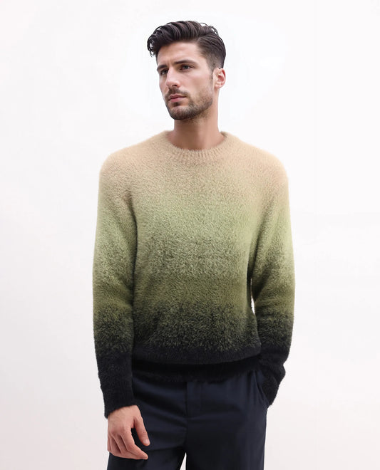 Rare Rabbit Men's Chervs Dark Green Cotton Color Block Regular Fit Full Sleeve Crew Neck Sweater