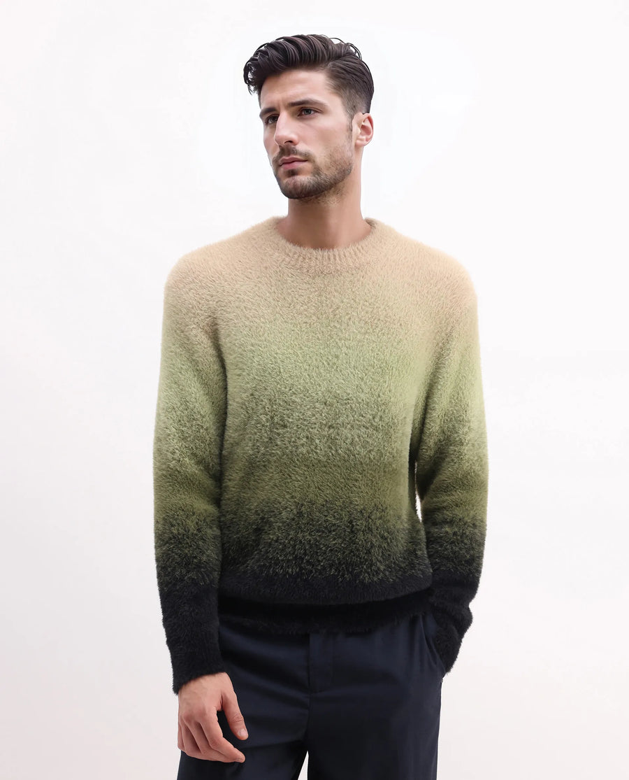 Rare Rabbit Men's Chervs Dark Green Cotton Color Block Regular Fit Full Sleeve Crew Neck Sweater